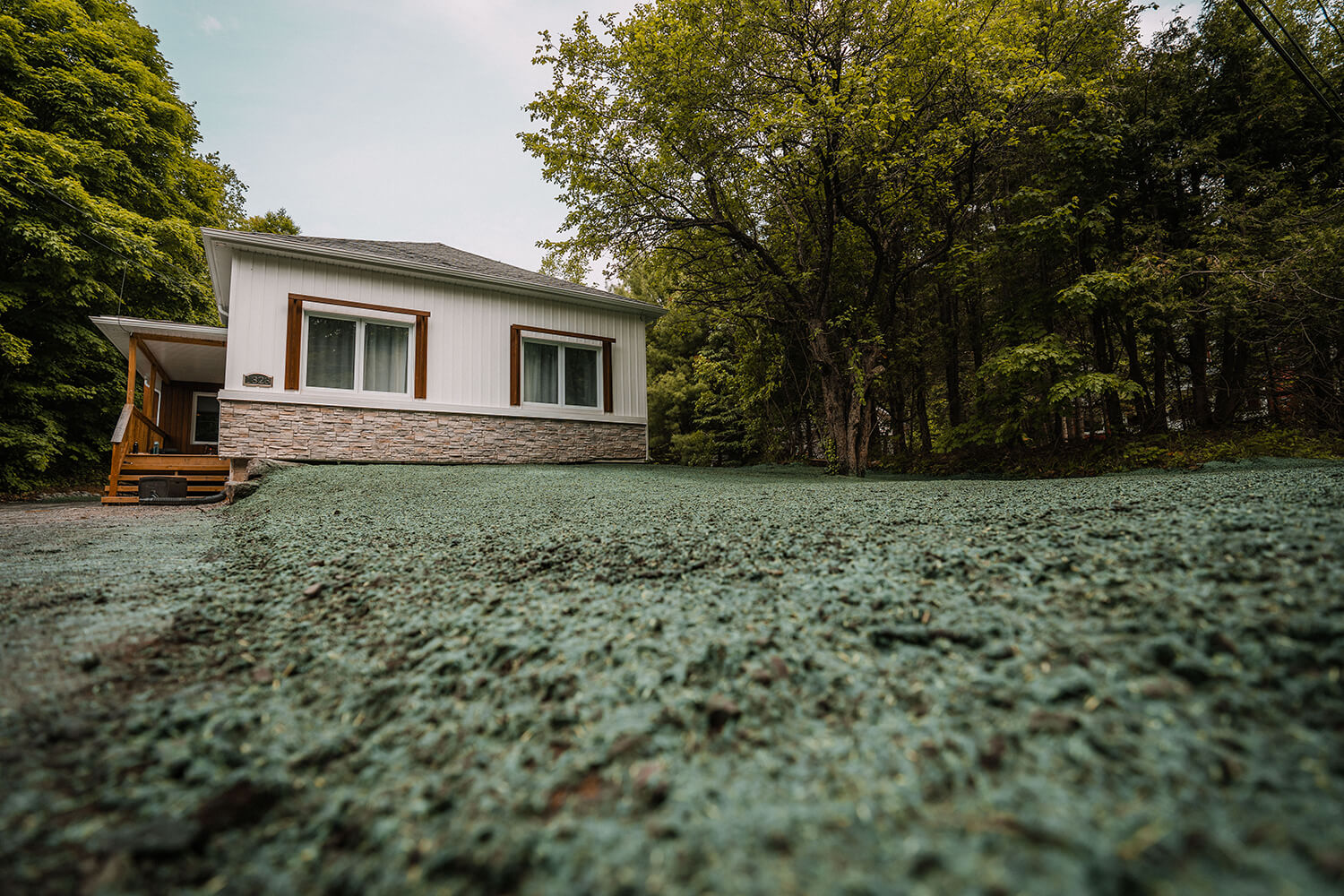 Hydro ensemencement : Comment faire le meilleur choix de semences pour votre gazon