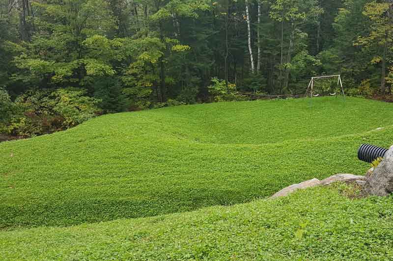 L’hydro-ensemencement sur les terrains en pente: qu’en est-il exactement?