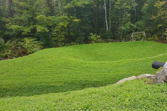 L’hydro-ensemencement sur les terrains en pente: qu’en est-il exactement?