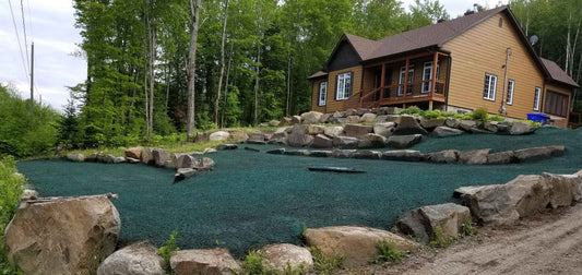 Aménagement paysager : 5 étapes faciles pour réaliser la cour idéale